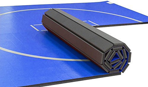10'x10' Wrestling Mat F118178