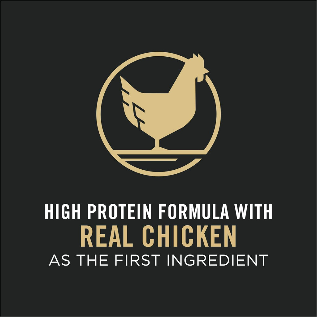 High Protein Chicken & Rice Dry Cat Food, Pack of 2 Y128