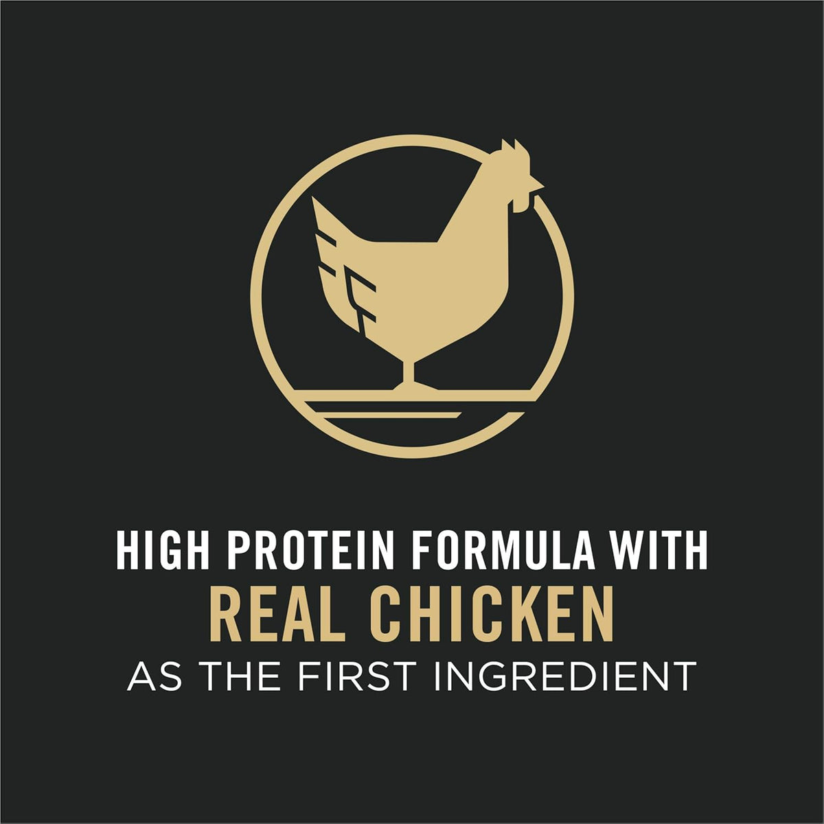 High Protein Chicken & Rice Dry Cat Food, Pack of 2 Y128