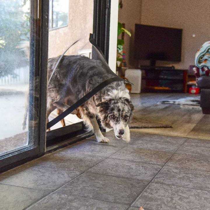 Screen Pet Door Conversion Kit for Screen Door Q549
