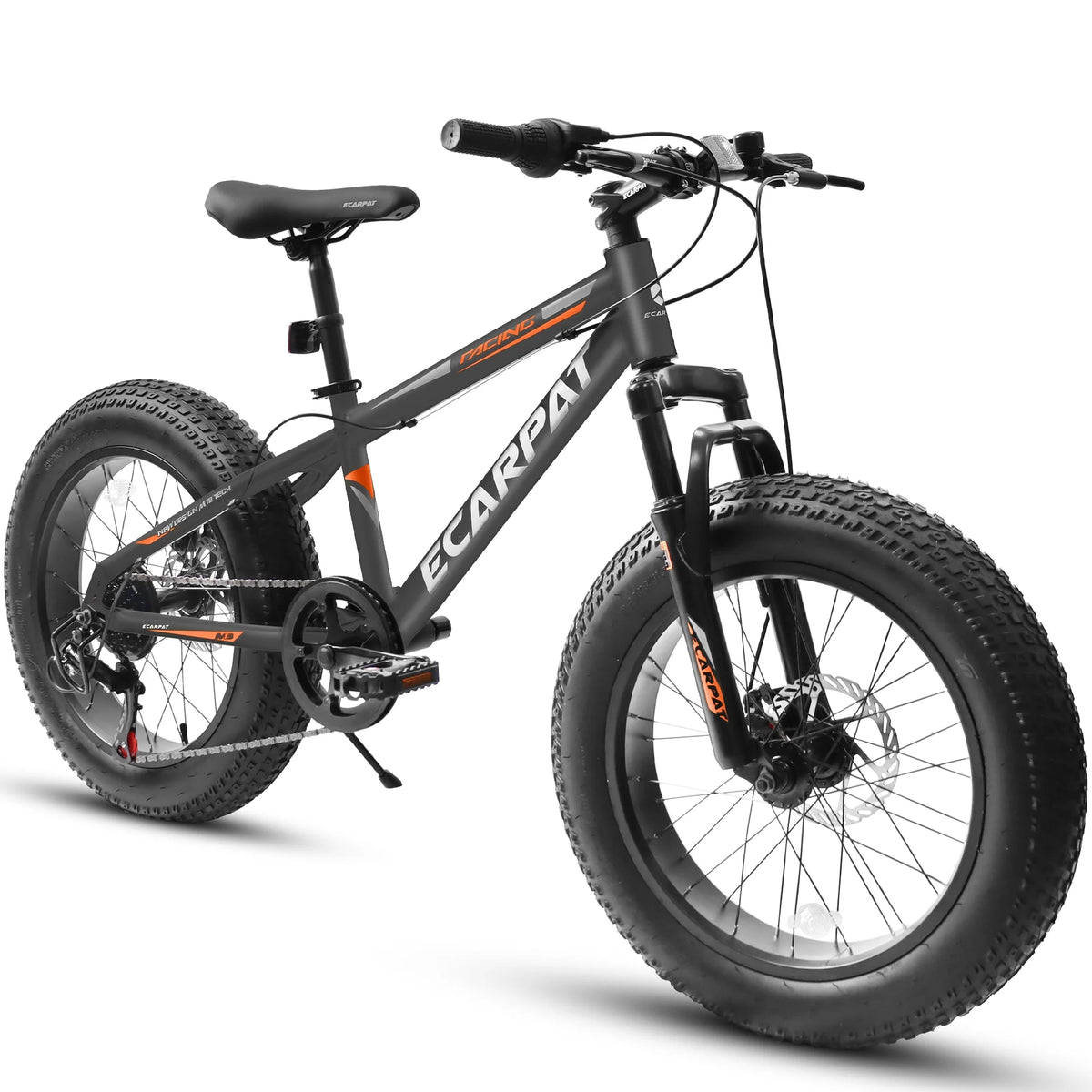 20 inch Black Fat Tire Bike with Disc Brakes 7 Speed I776