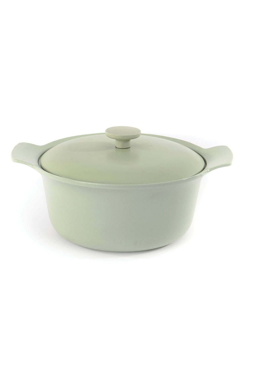 Cast Iron Covered Stockpot T462237
