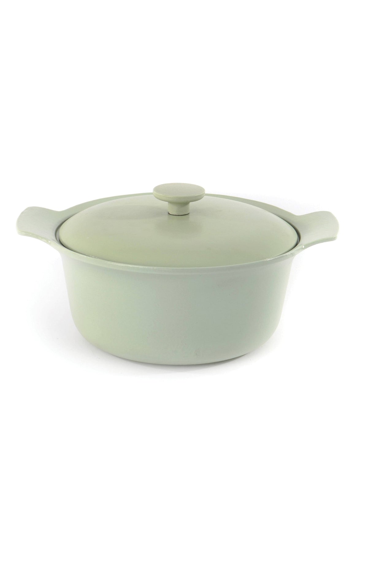 Cast Iron Covered Stockpot T462237