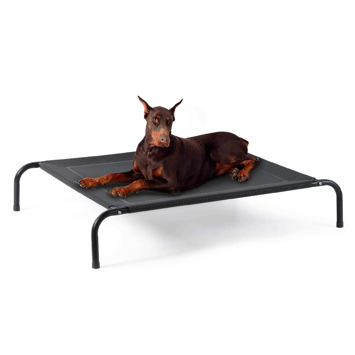Large Elevated Cooling Outdoor Dog Bed P98266