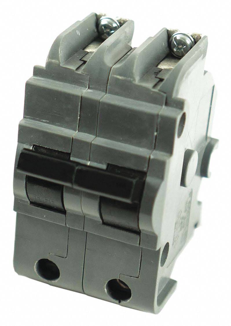 80A 2 Pole Bolt on Circuit Breaker W6113