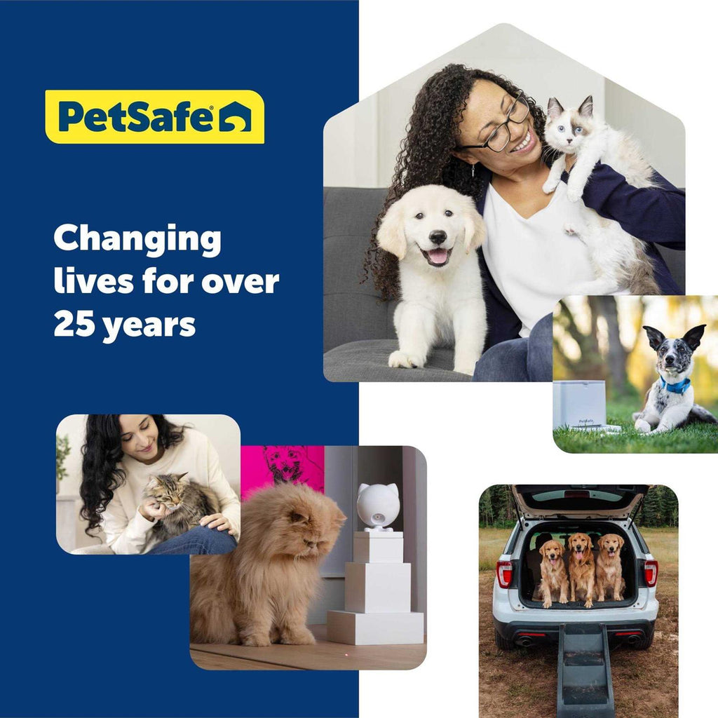 Cat Toy I586