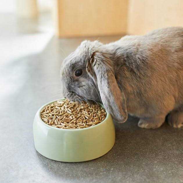 Timothy Based Rabbit Food R236