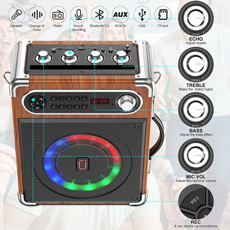 Karaoke Machine with 2 Wireless Microphones Bluetooth Speaker System W1084
