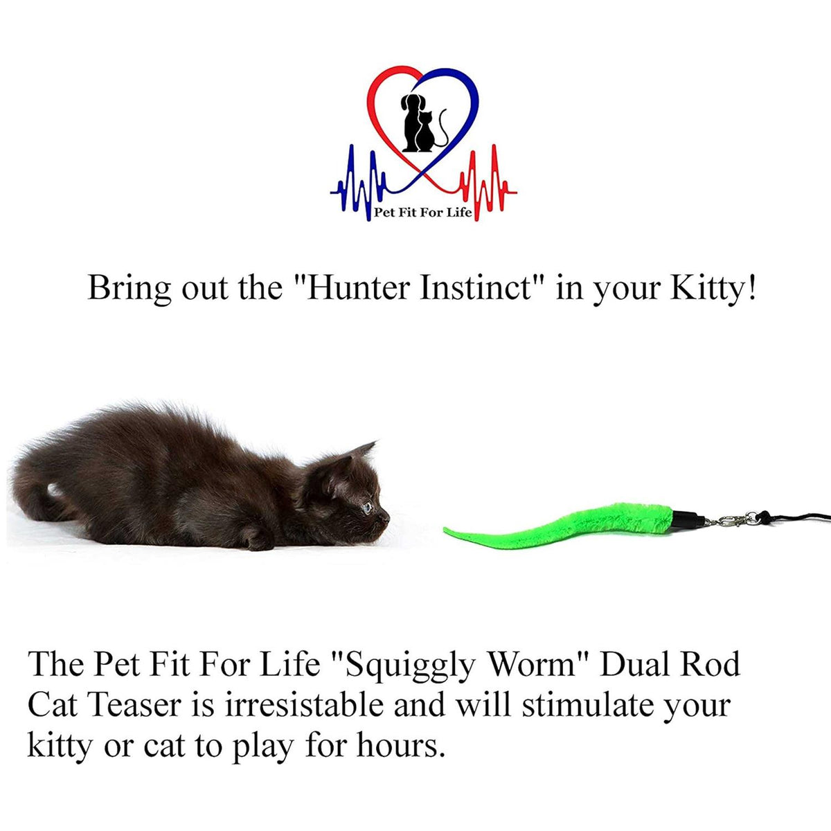 Cat Wand Toy 5-Piece Worm Teaser V83757