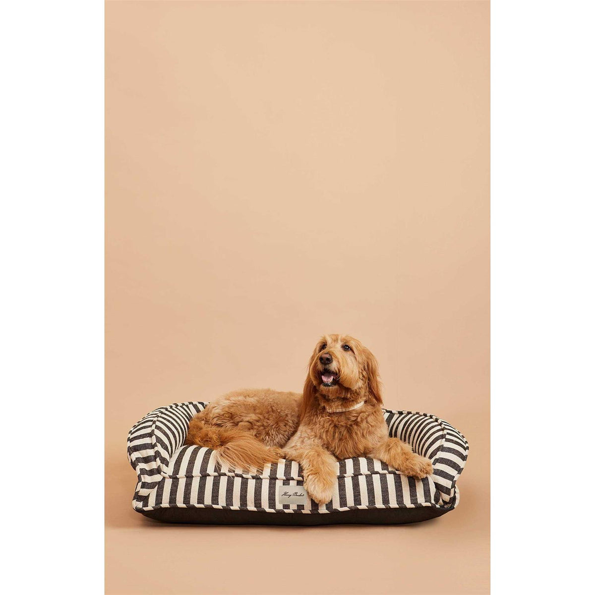 Buffalo Check Lounger C5704