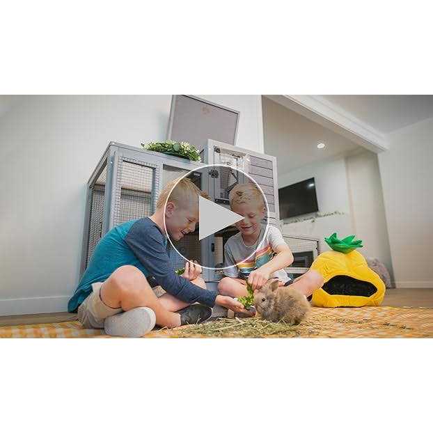 Indoor Outdoor Rabbit K927