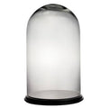 Dome Bell Jar Glass Terrarium D7068