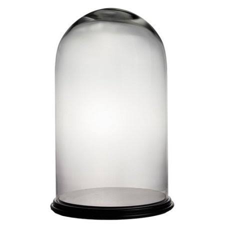 Dome Bell Jar Glass Terrarium D7068