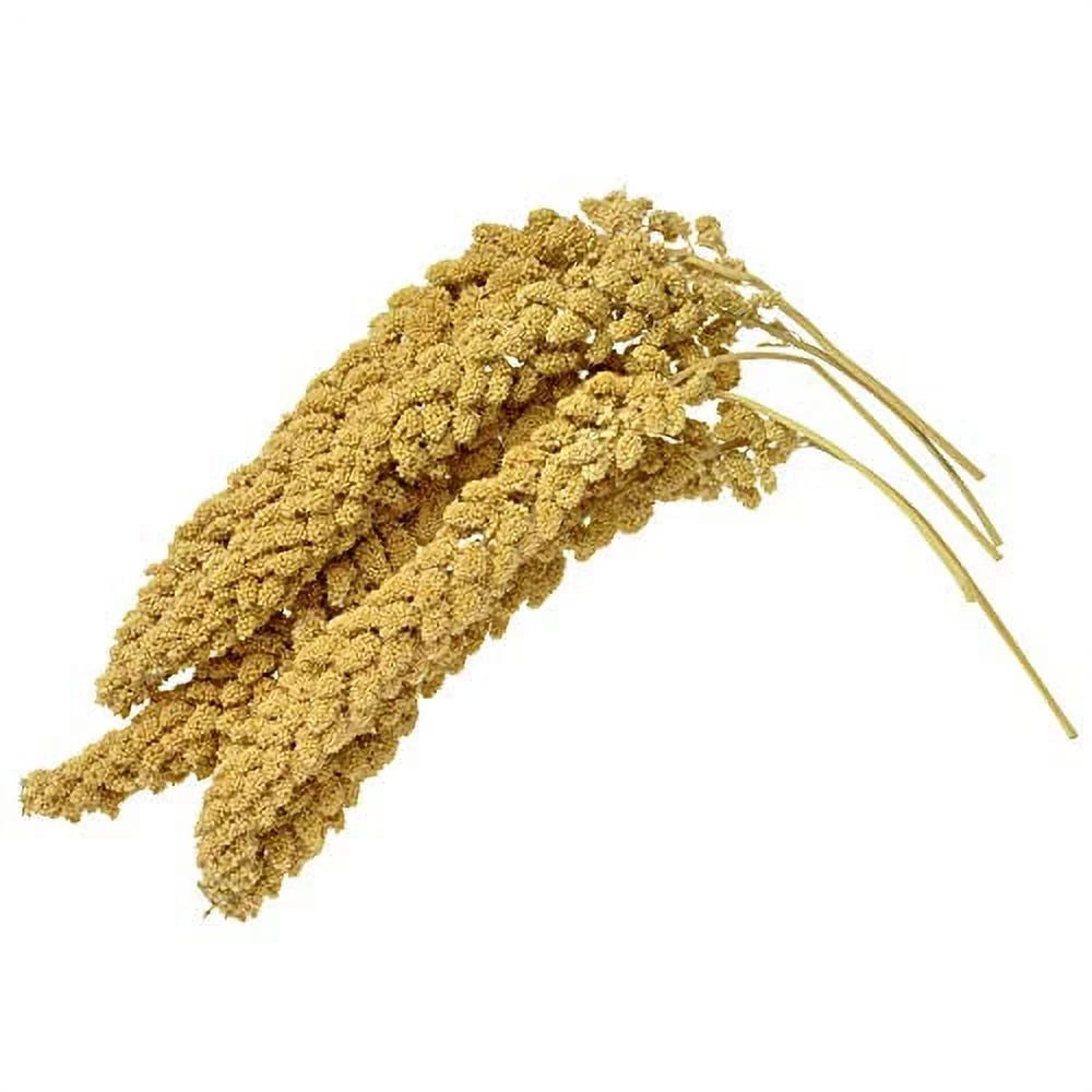 Spray Millet Bird Treat 1LB I407