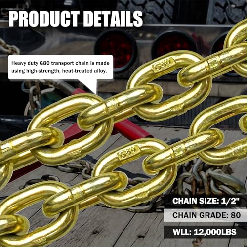 5/16 Inch x 20 Foot Transport Binder Chain with Clevis Grab Hooks H217