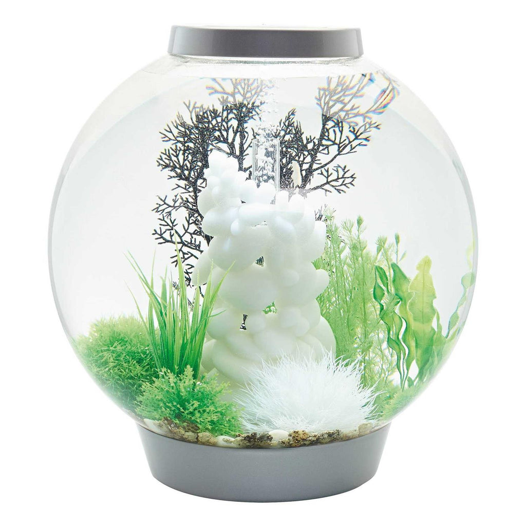 Classic 60 Aquarium with LED O2782