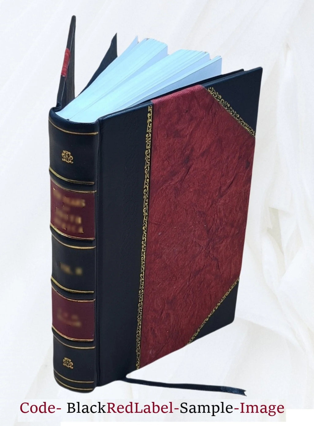 Leather Bound Book V210669