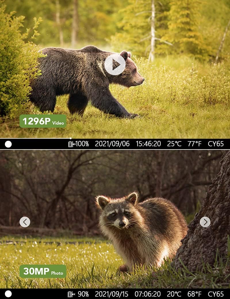 WiFi Bluetooth 30MP 1296P Hunting Camera with IR Night Vision and IP66 Waterproof H9964